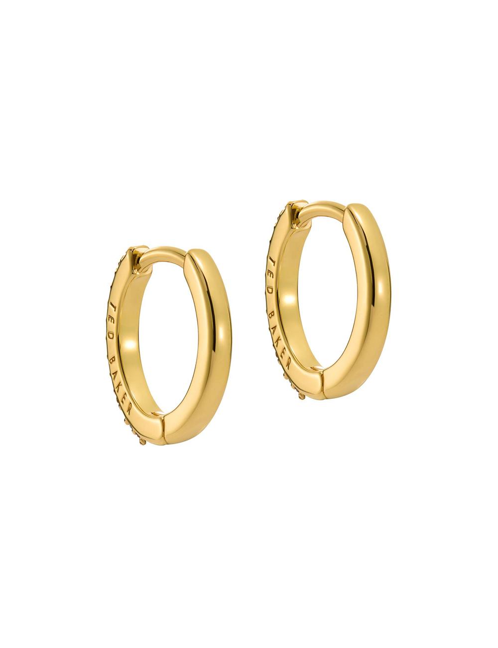 Aretes Ted Baker HEPLIE - Crystal Huggie Hoop Mujer Multicol | HIMR-79560