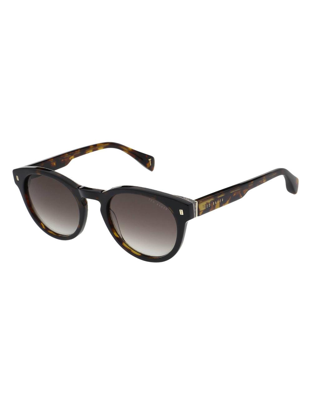 Gafas de Sol Ted Baker DAX - Round Chunky Temple Hombre Marrones | SIGX-75403