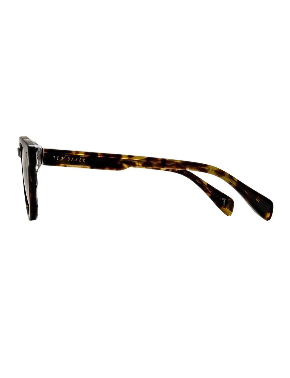 Gafas de Sol Ted Baker DAX - Round Chunky Temple Hombre Marrones | SIGX-75403