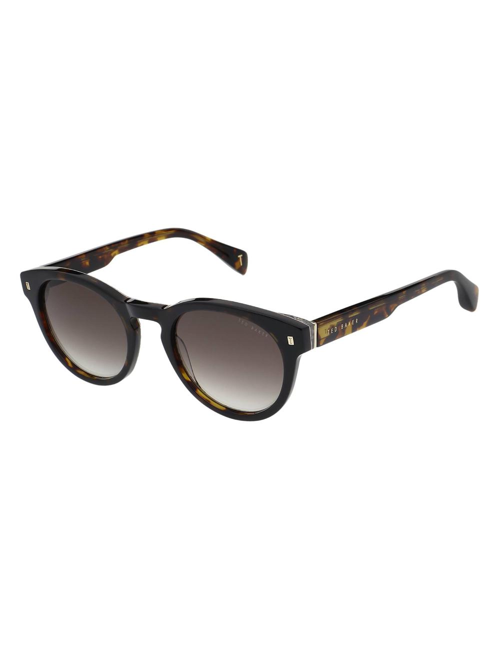 Gafas de Sol Ted Baker DAX - Round Chunky Temple Hombre Marrones | SIGX-75403