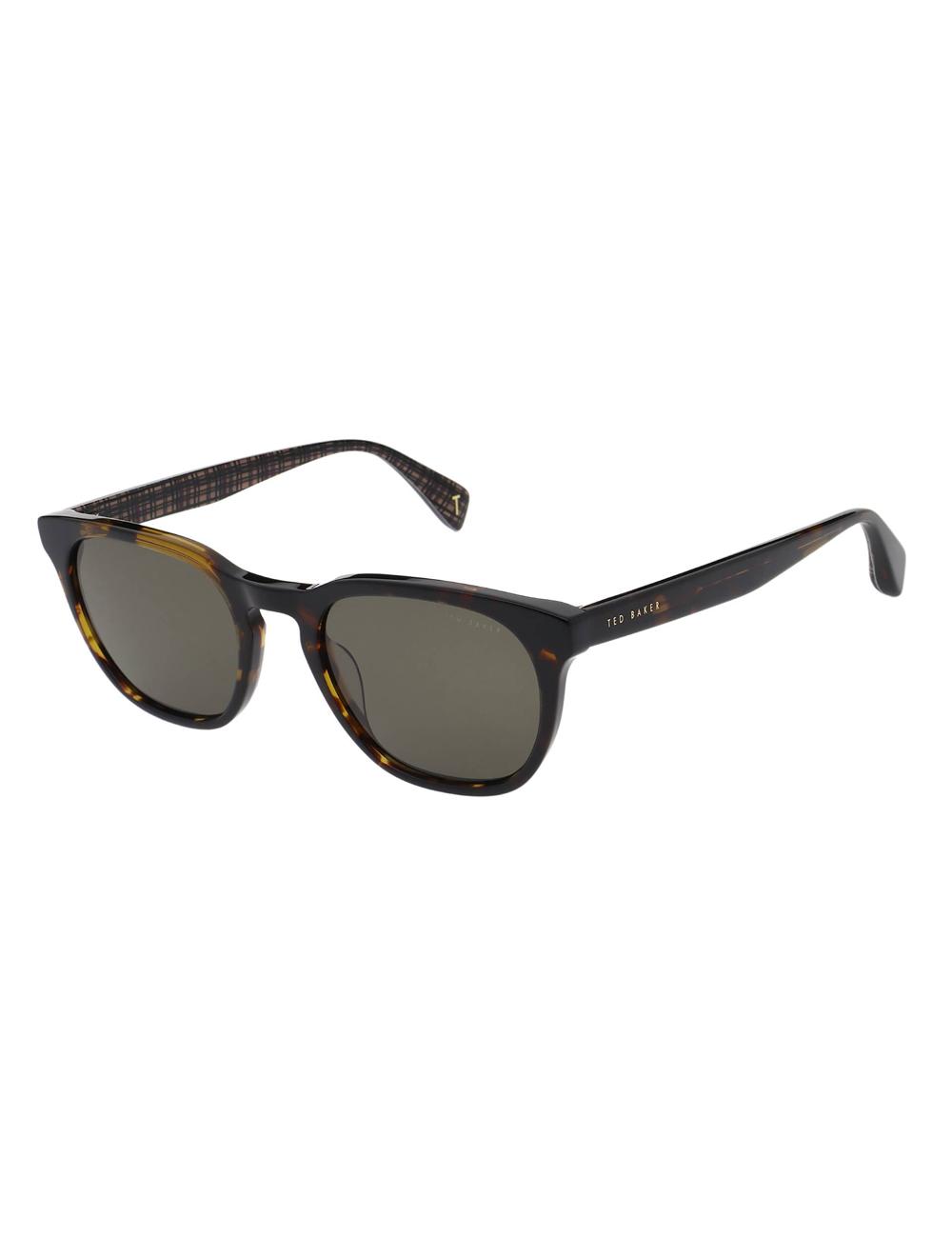 Gafas de Sol Ted Baker SORLEY - Classic Rounded Eye Hombre Tort | FGPN-16428
