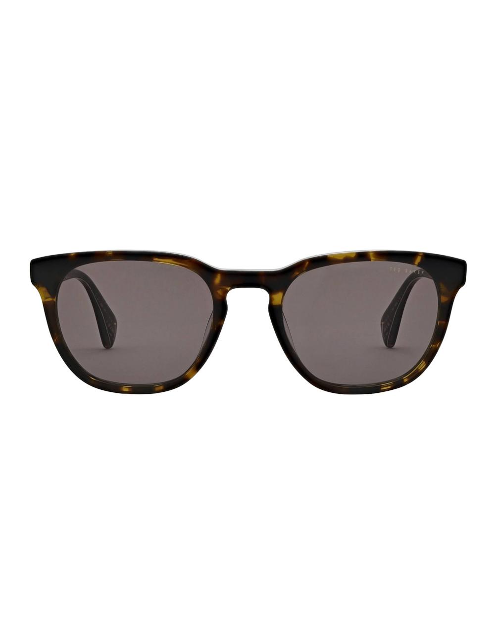 Gafas de Sol Ted Baker SORLEY - Classic Rounded Eye Hombre Tort | FGPN-16428