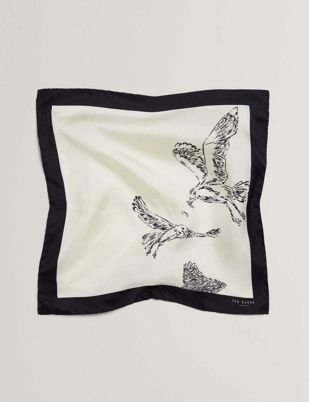 Pañuelos De Bolsillo Ted Baker BENHALP - Seagull Graphic Silk Pocket Hombre Ecru | UFHY-07465