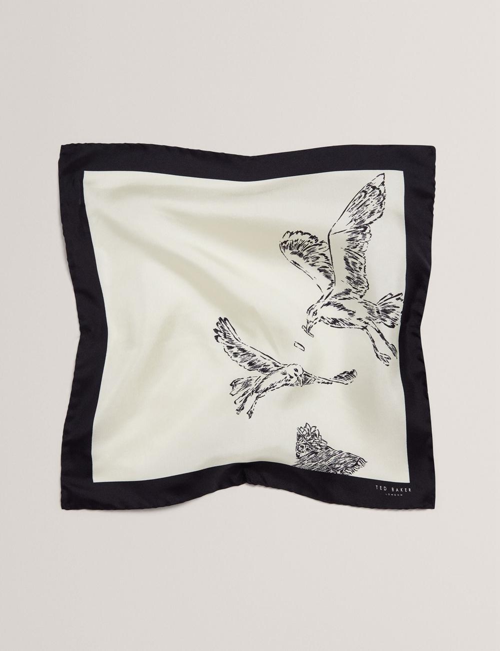Pañuelos De Bolsillo Ted Baker BENHALP - Seagull Graphic Silk Pocket Hombre Ecru | UFHY-07465